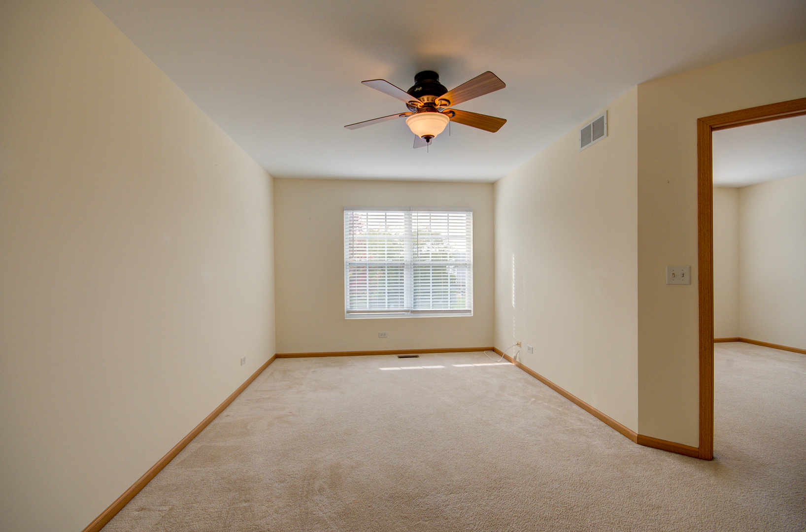 355 Grape Vine Trail, Oswego, IL 60543