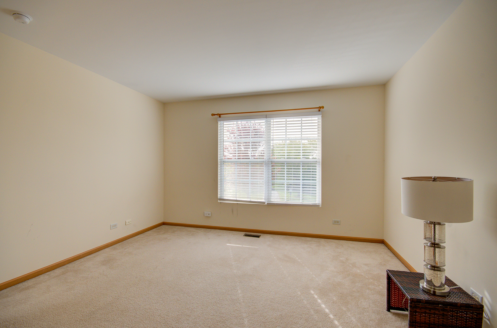 355 Grape Vine Trail, Oswego, IL 60543