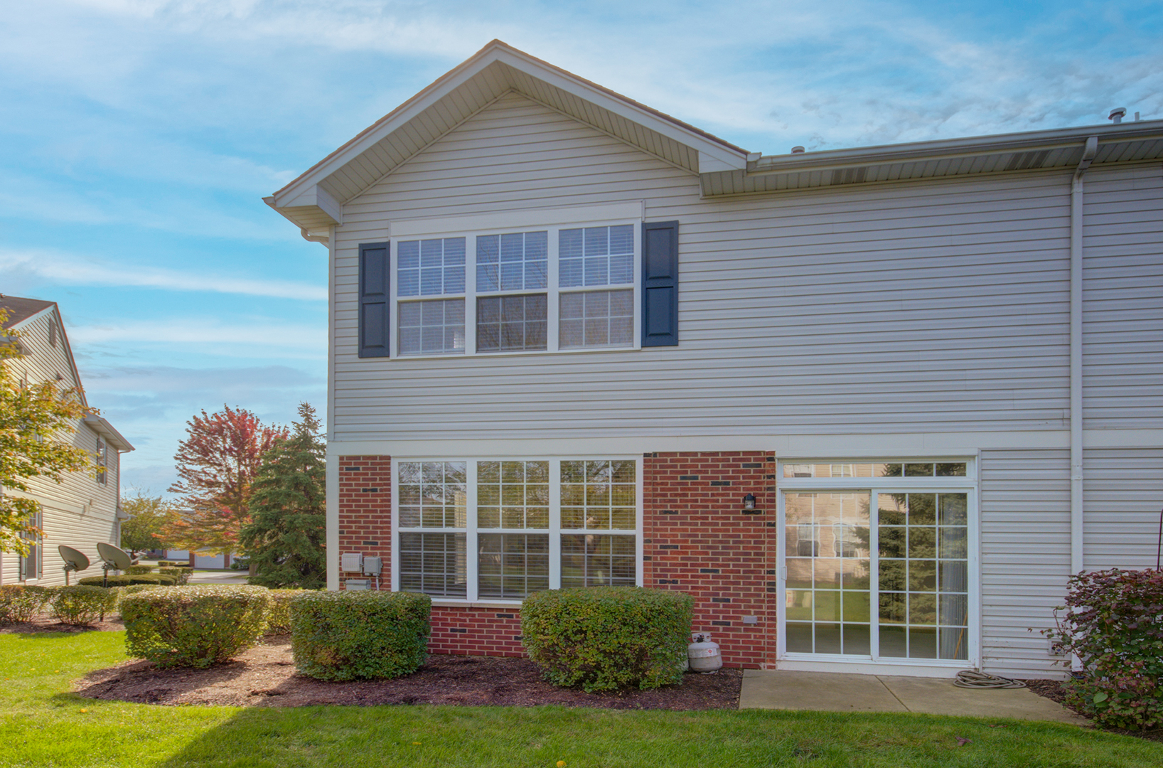 355 Grape Vine Trail, Oswego, IL 60543