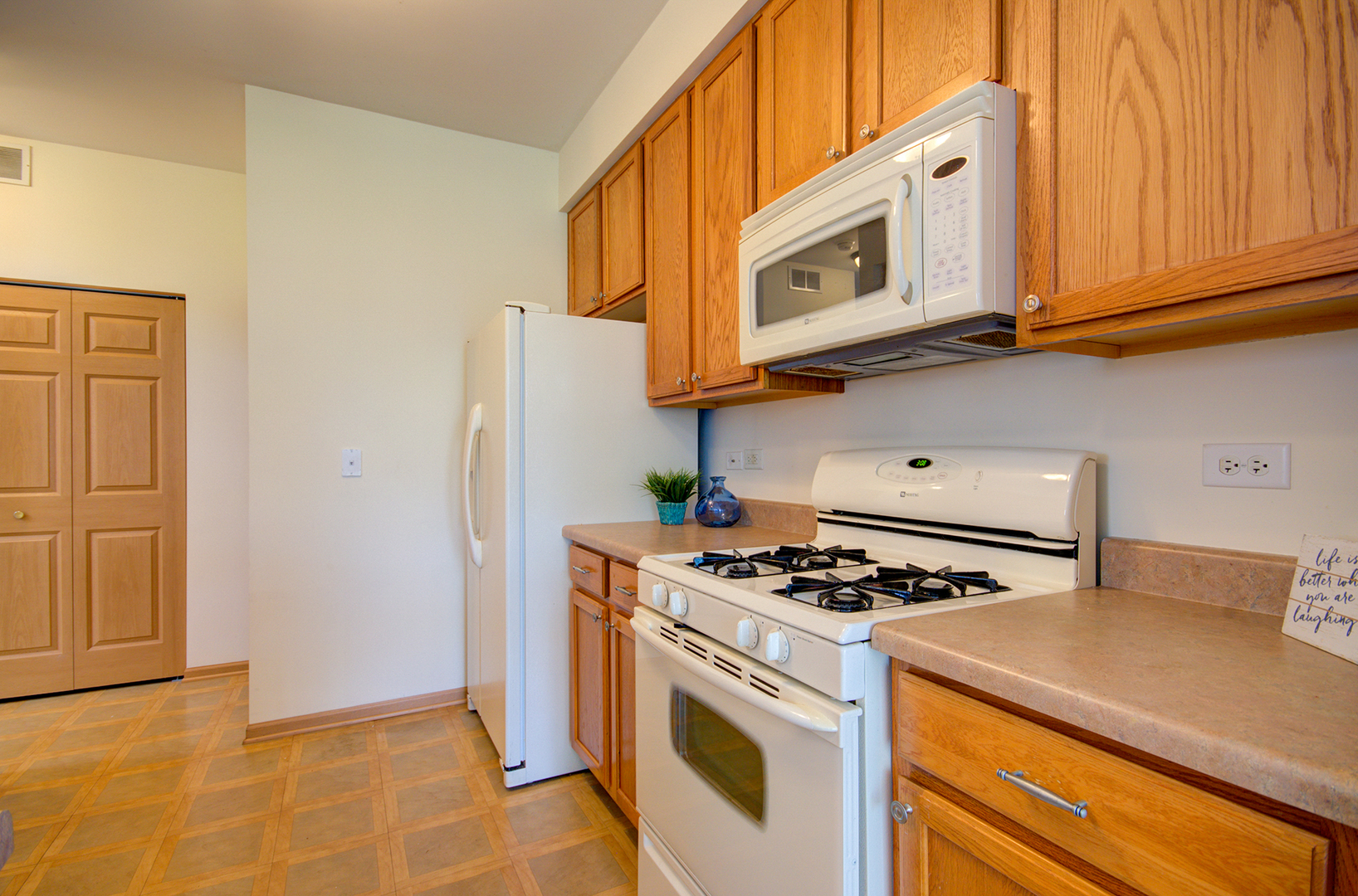 355 Grape Vine Trail, Oswego, IL 60543