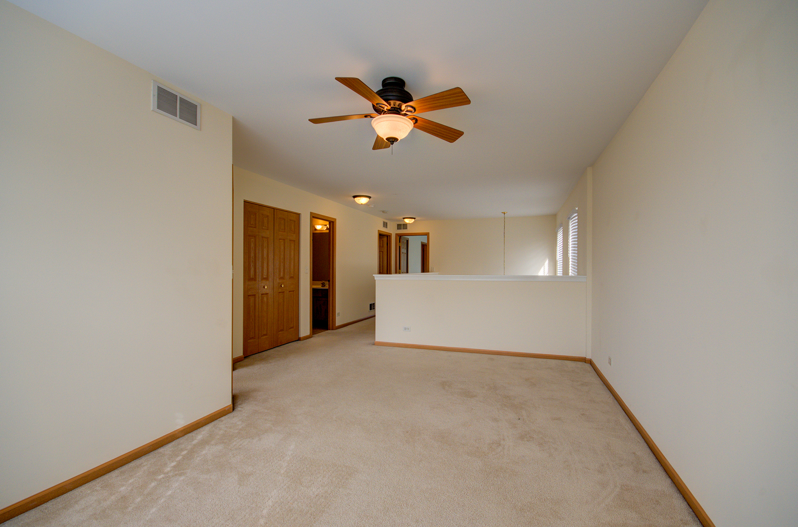 355 Grape Vine Trail, Oswego, IL 60543