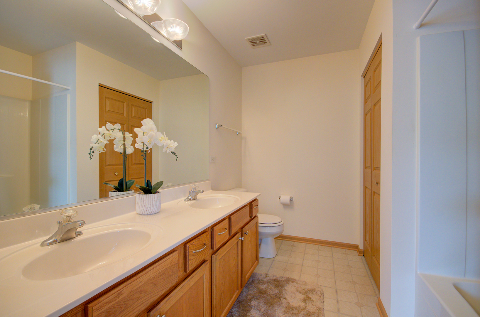 355 Grape Vine Trail, Oswego, IL 60543