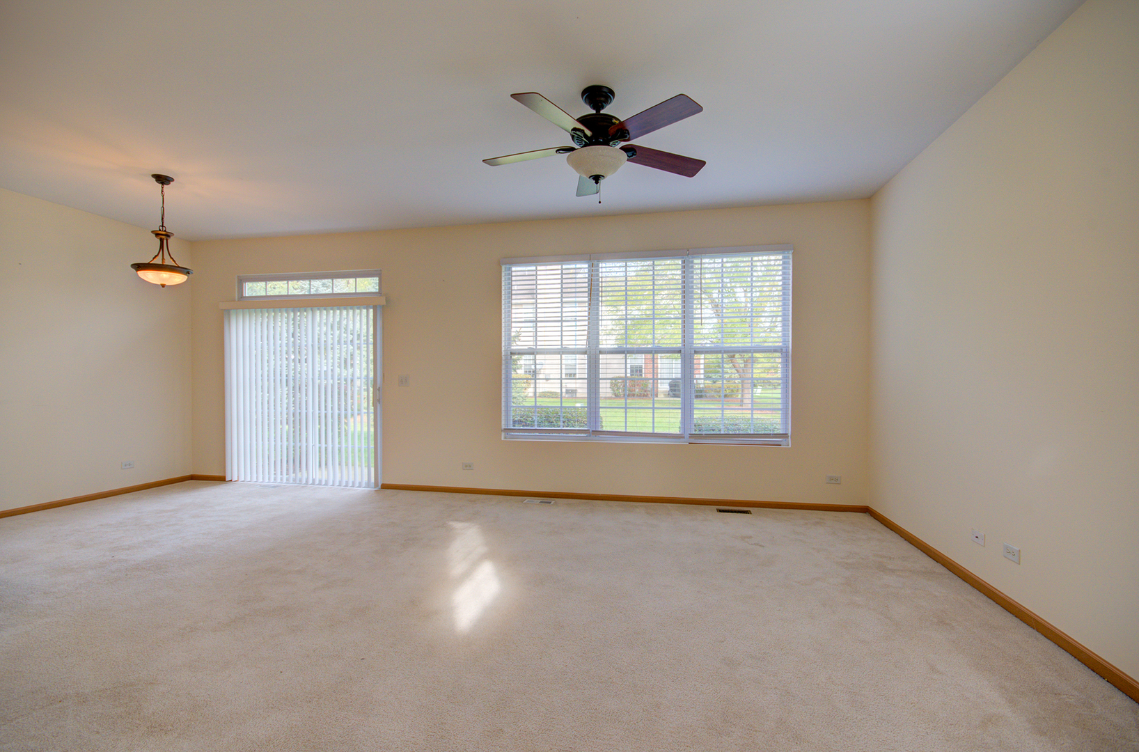 355 Grape Vine Trail, Oswego, IL 60543