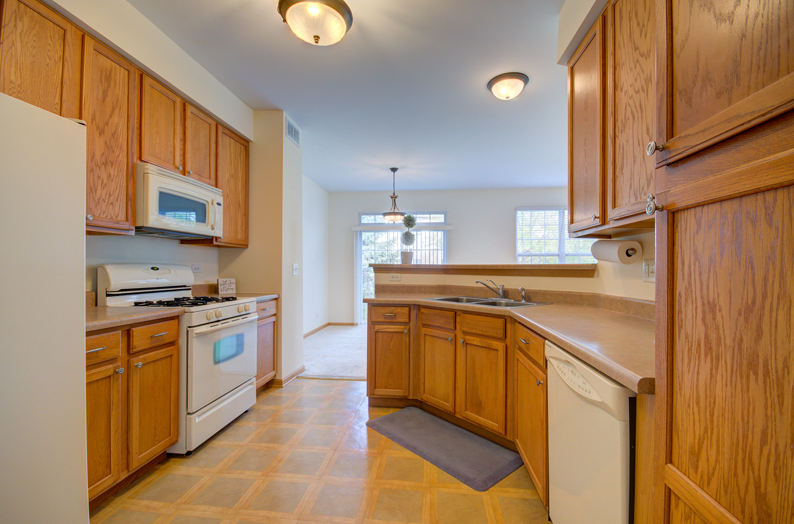 355 Grape Vine Trail, Oswego, IL 60543