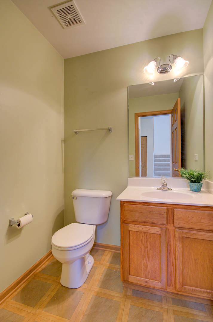 355 Grape Vine Trail, Oswego, IL 60543