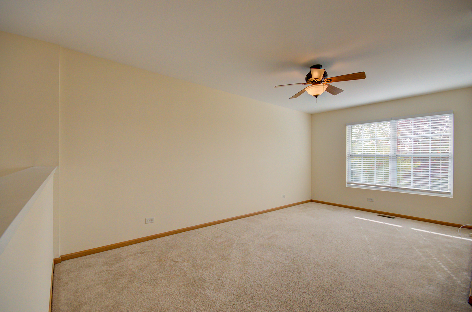 355 Grape Vine Trail, Oswego, IL 60543