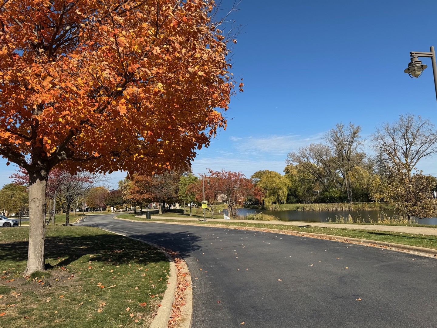 911 E Villa Drive, Des Plaines, IL 60016