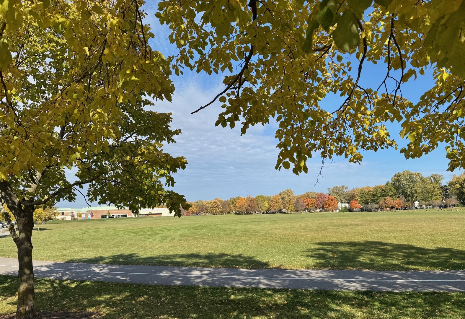 911 E Villa Drive, Des Plaines, IL 60016