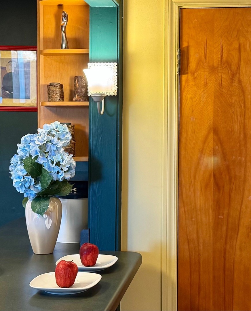 911 E Villa Drive, Des Plaines, IL 60016