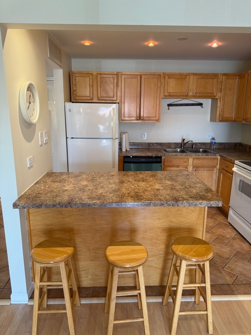 910 Beau Drive #211, Des Plaines, IL 60016