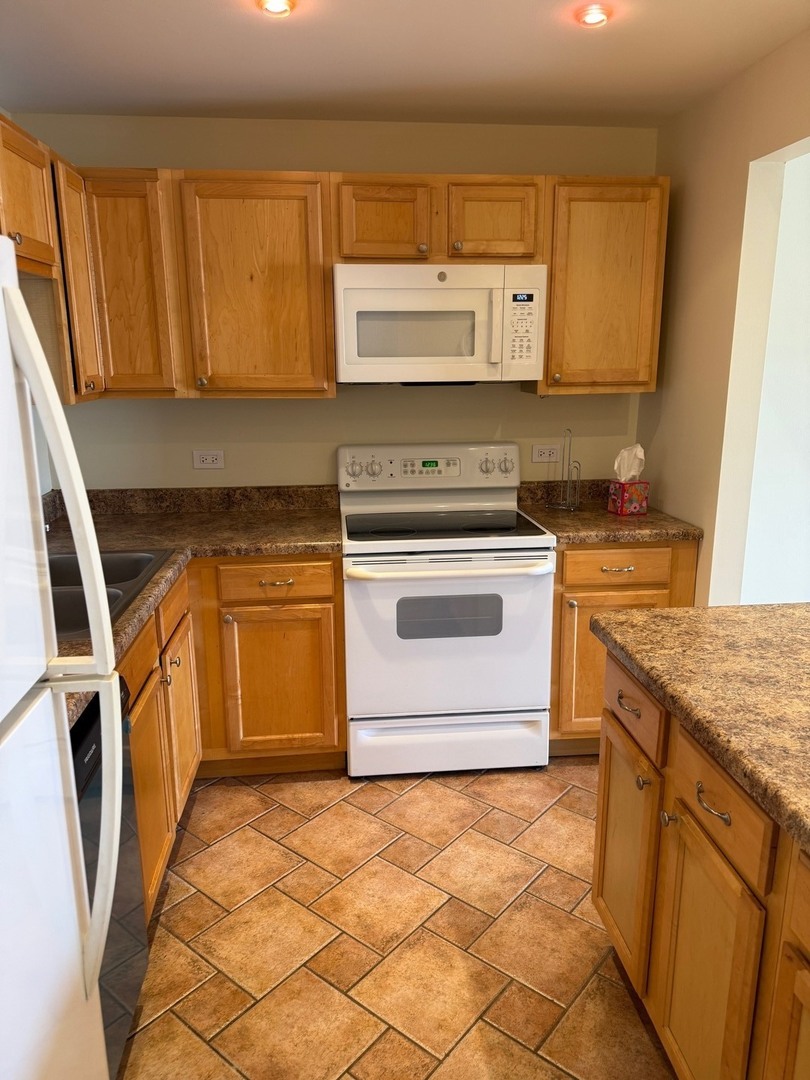 910 Beau Drive #211, Des Plaines, IL 60016