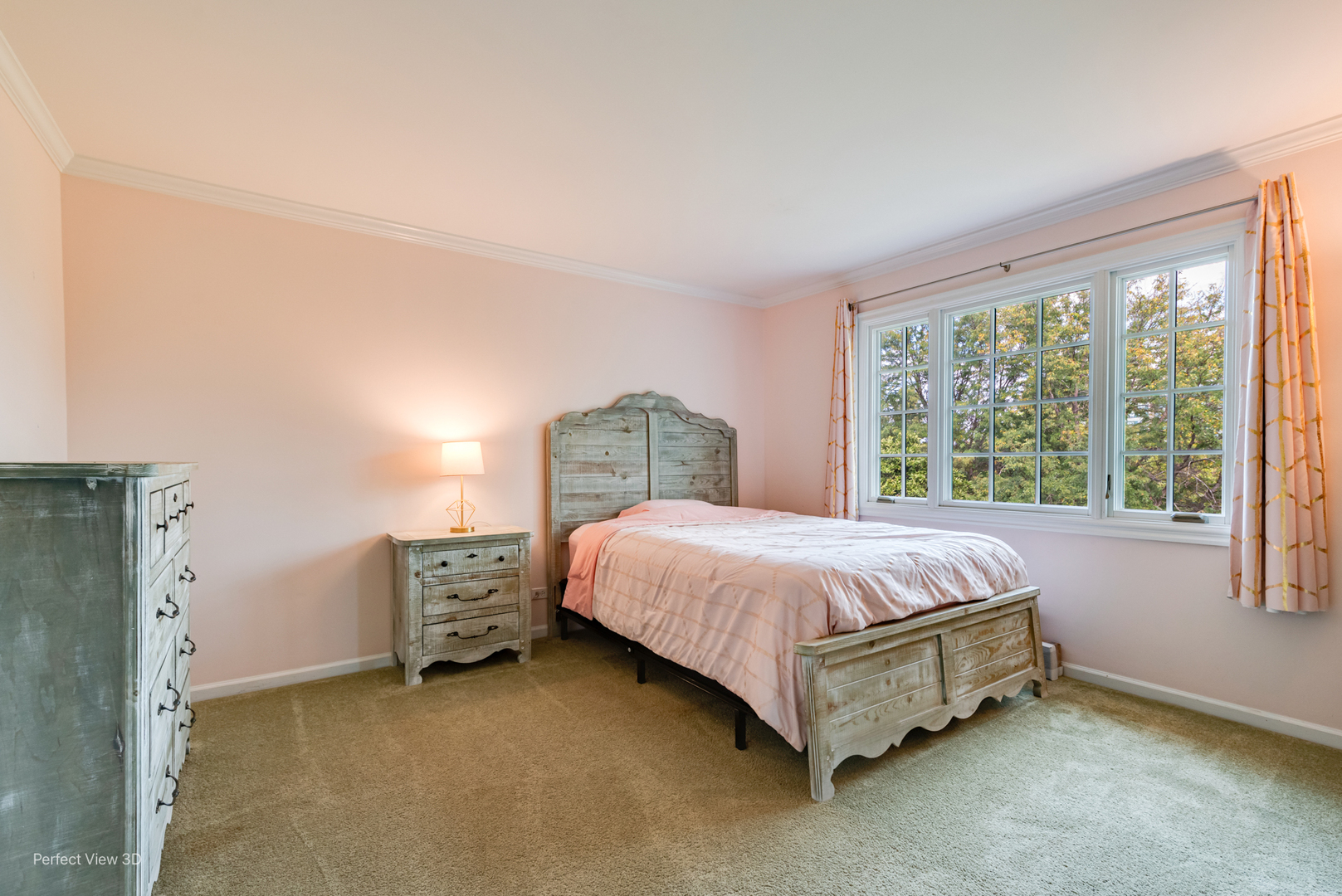 6441 BOBBY JONES Lane, Woodridge, IL 60517