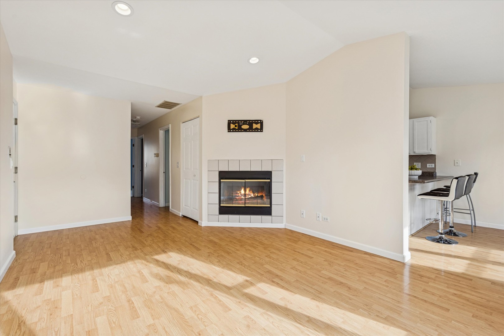 1101 YORKSHIRE Court #C, Elgin, IL 60120