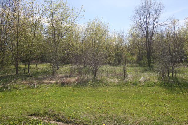 15925 Applewood Court, Wadsworth, IL 60083