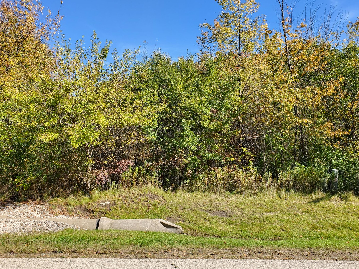 39587 Orchard Bluff Lane, Wadsworth, IL 60083