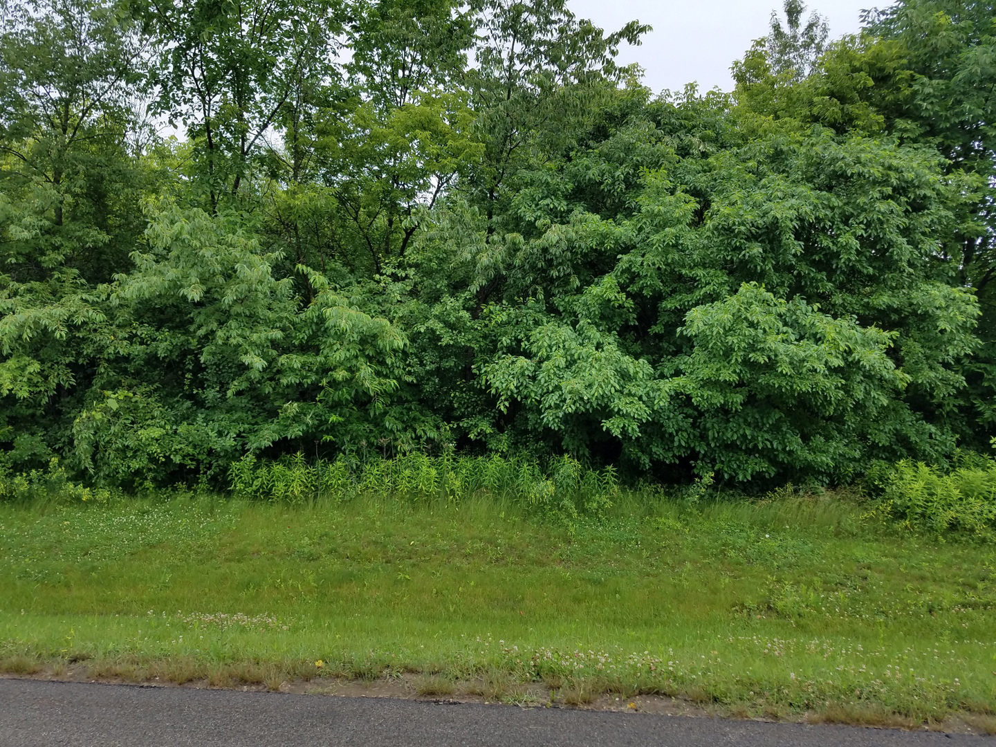 39579 Orchard Bluff Lane, Wadsworth, IL 60083