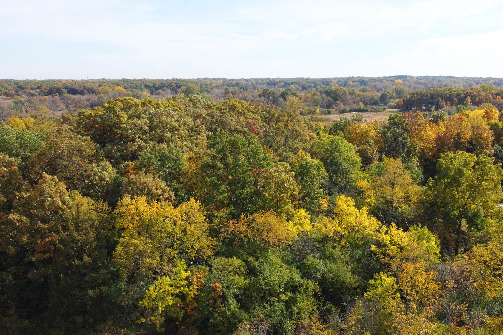 39579 Orchard Bluff Lane, Wadsworth, IL 60083