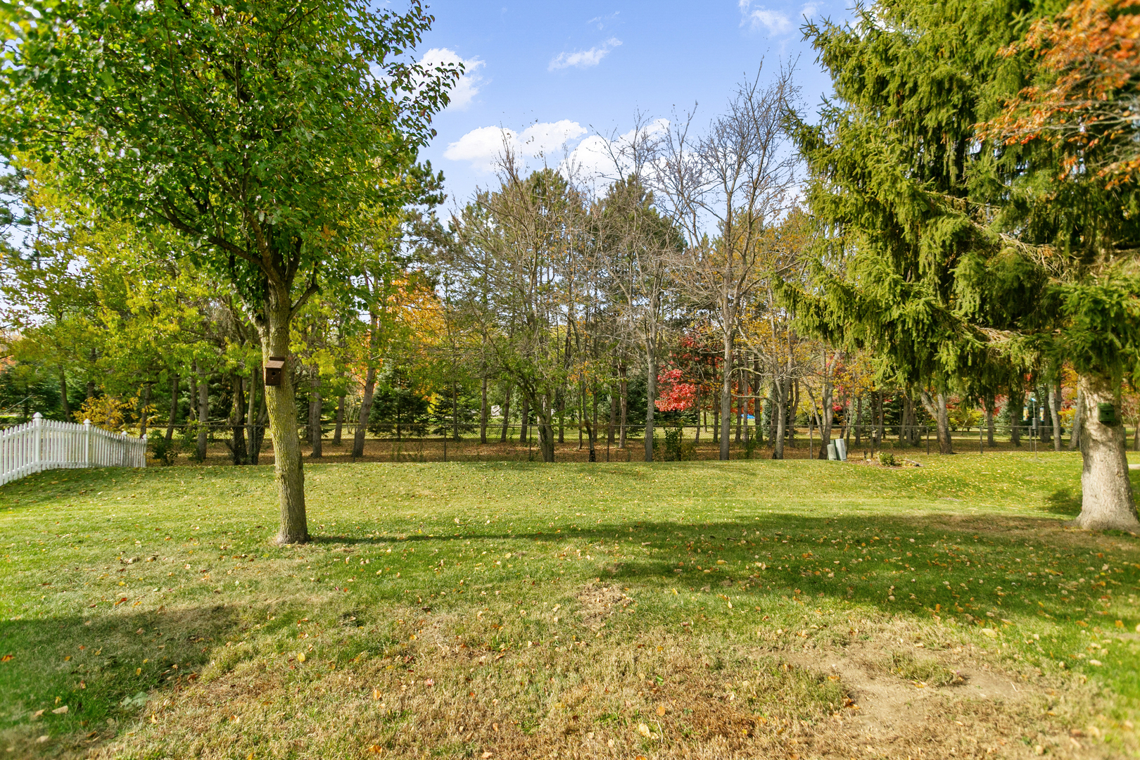 67 Raven Drive, Aurora, IL 60506