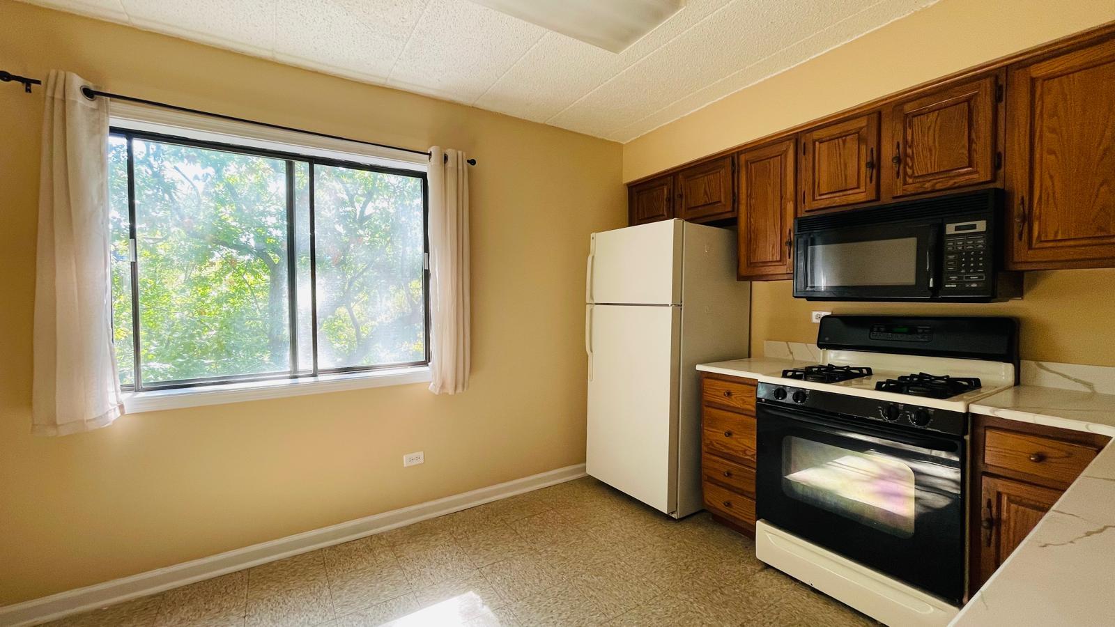 6015 Lakeside Place #101, Tinley Park, IL 60477