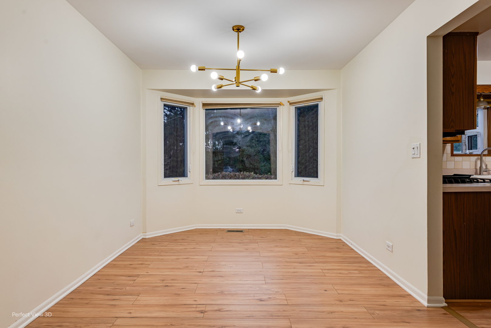 255 Ironbark Court, Bolingbrook, IL 60440