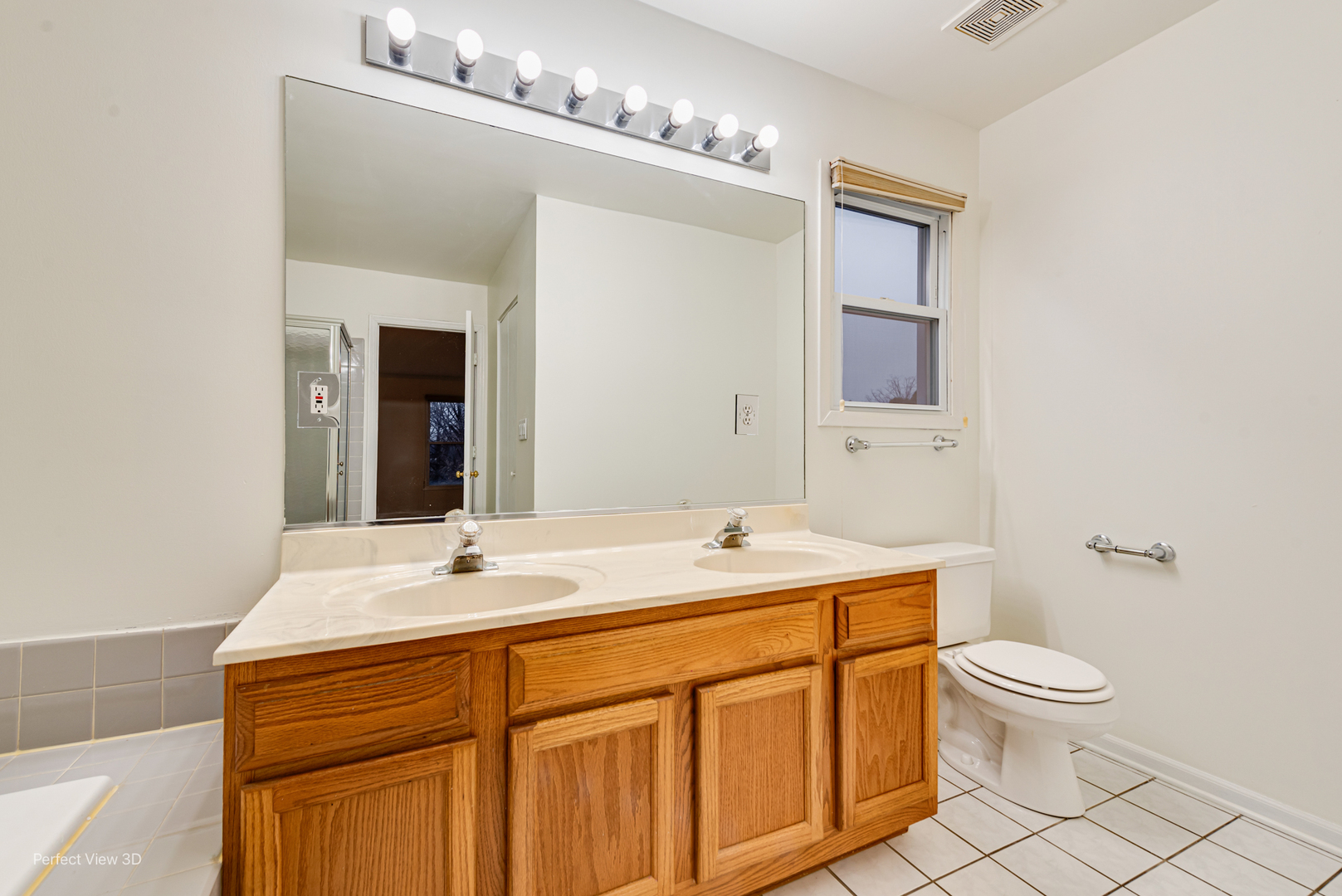 255 Ironbark Court, Bolingbrook, IL 60440