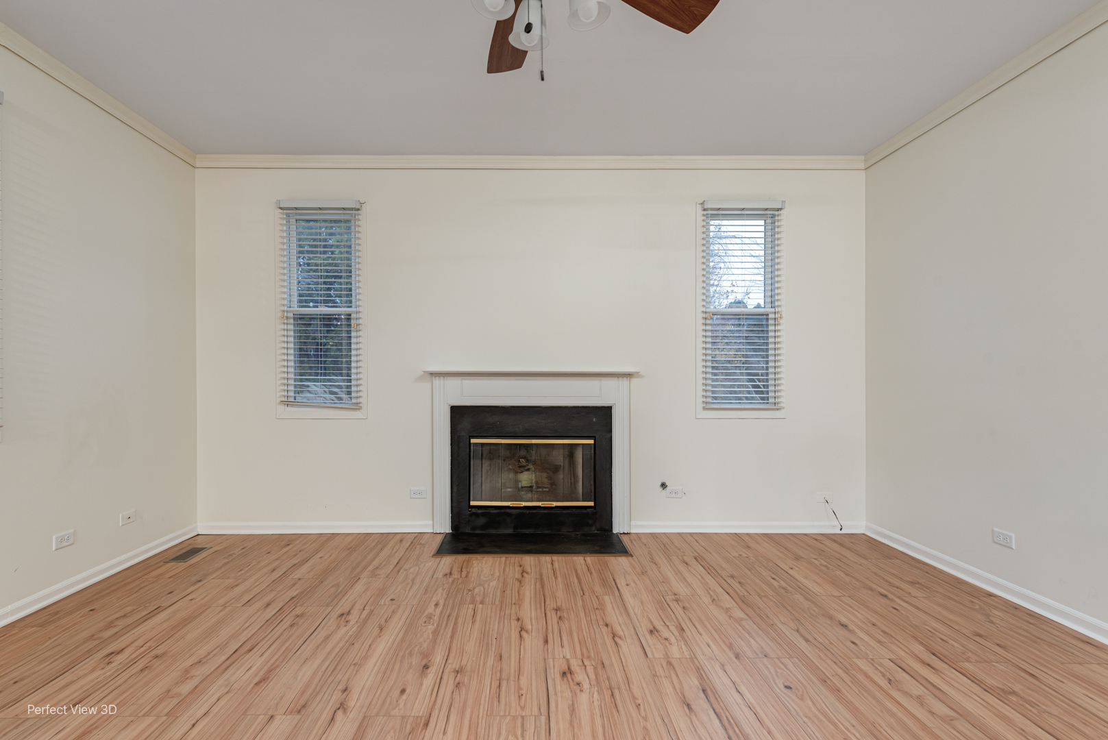 255 Ironbark Court, Bolingbrook, IL 60440