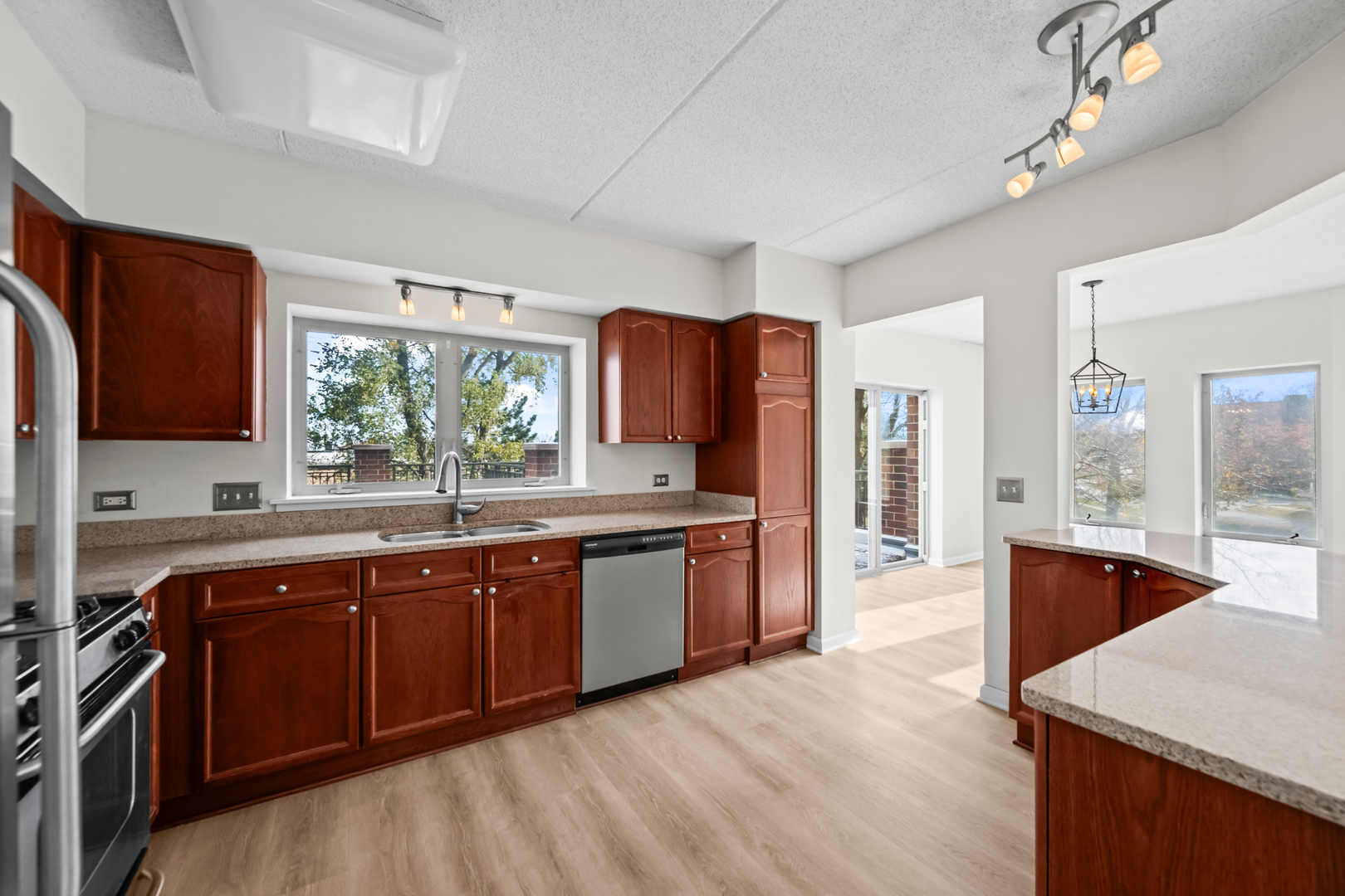 655 Perrie Drive #203, Elk Grove Village, IL 60007