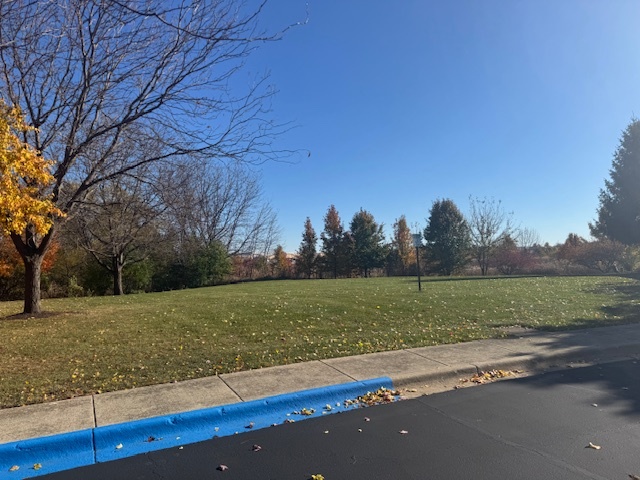 271 S Alder Creek Drive, Romeoville, IL 60446