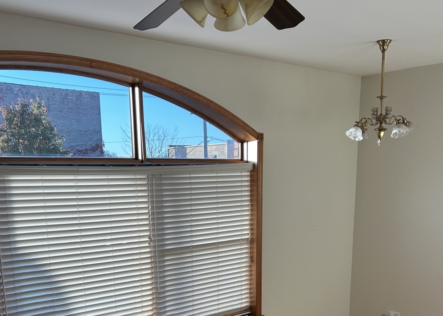 116 N Main Street #5, Wheaton, IL 60187