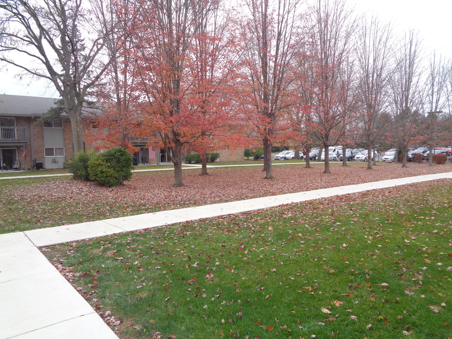 16W585 S Mockingbird Lane #207, Willowbrook, IL 60527