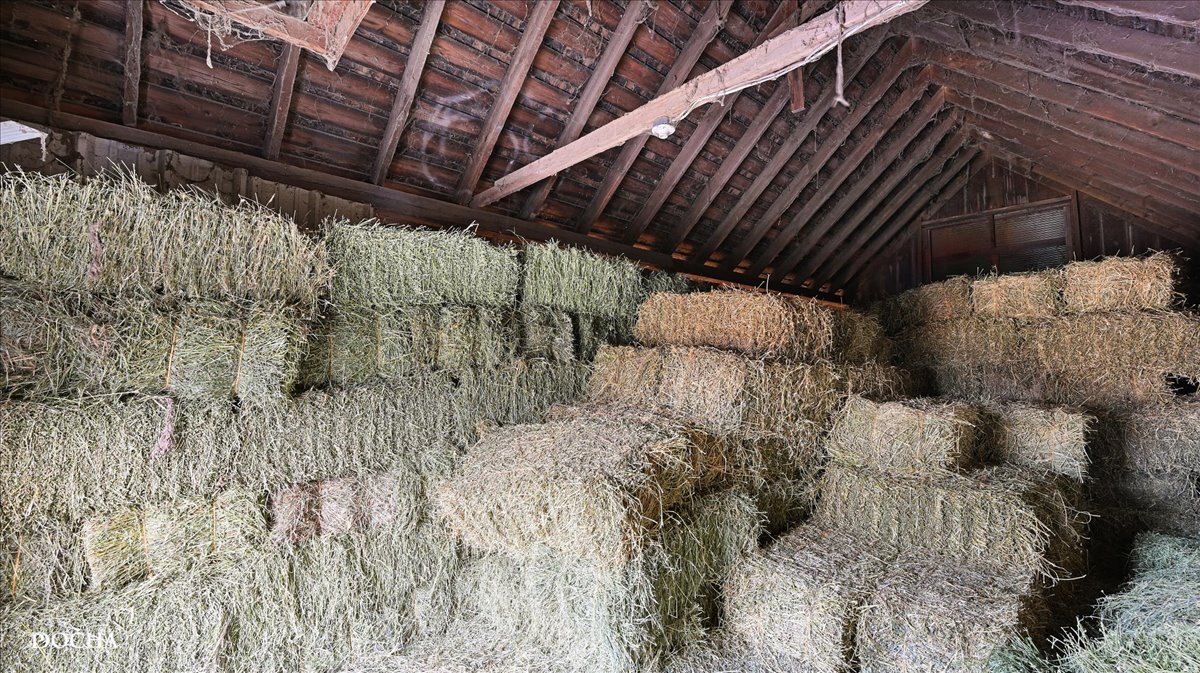 13230 Chicago Road, Somonauk, IL 60552