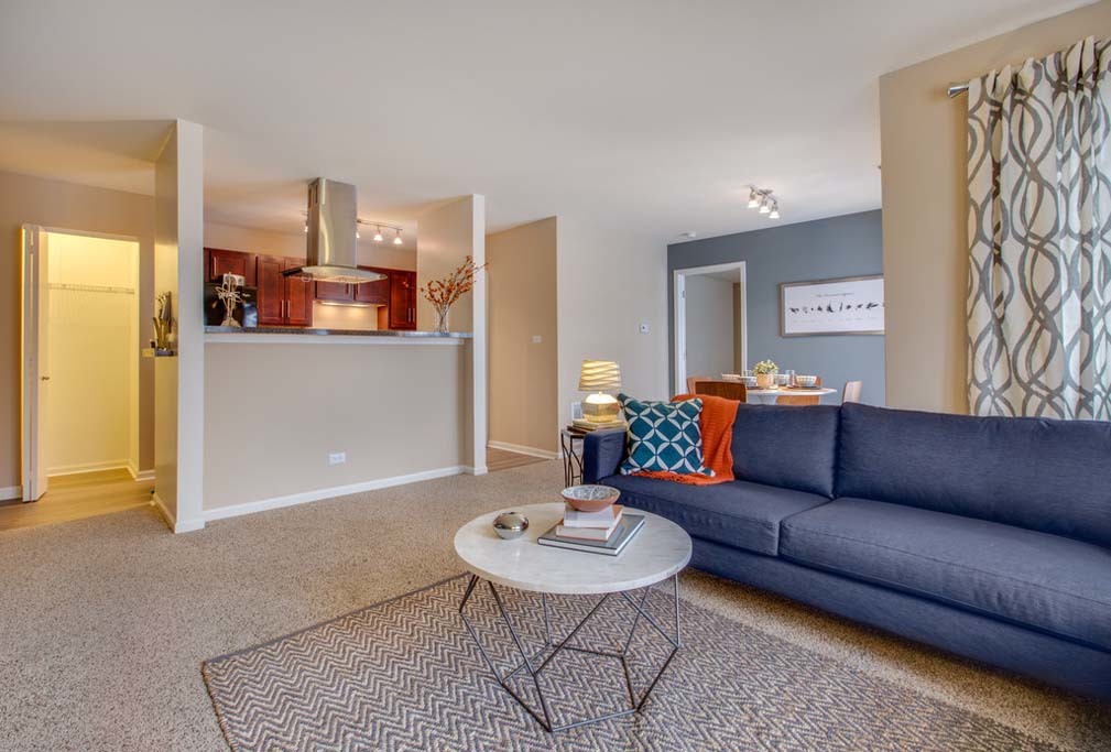 140 Lincoln Oaks Drive #1011, Willowbrook, IL 60527