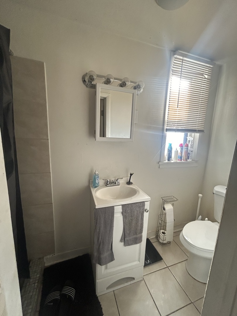 1017 W 19th Street, Chicago, IL 60608