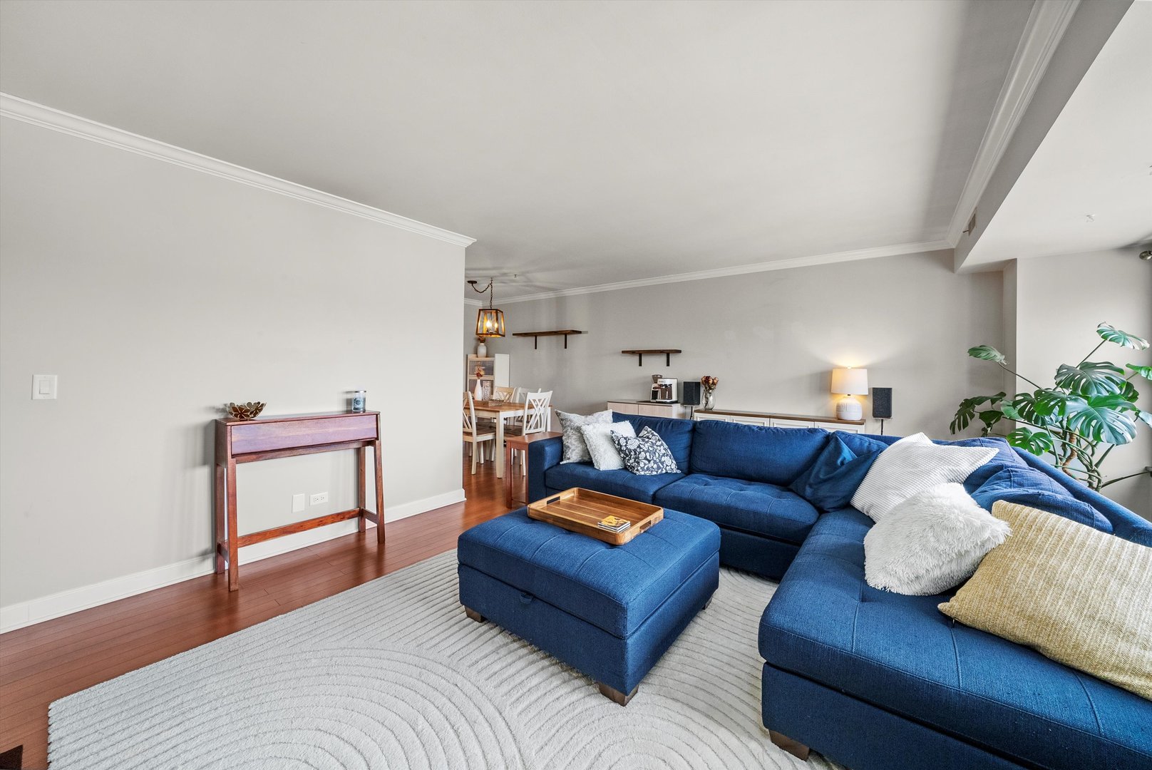 75 6th Avenue #302, La Grange, IL 60525