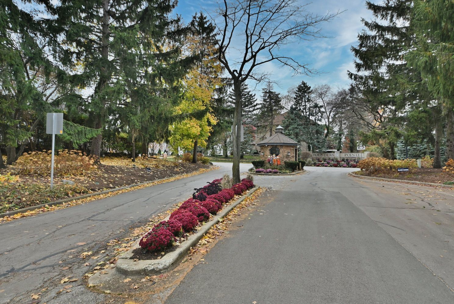 45 Founders Pointe North Drive, Bloomingdale, IL 60108