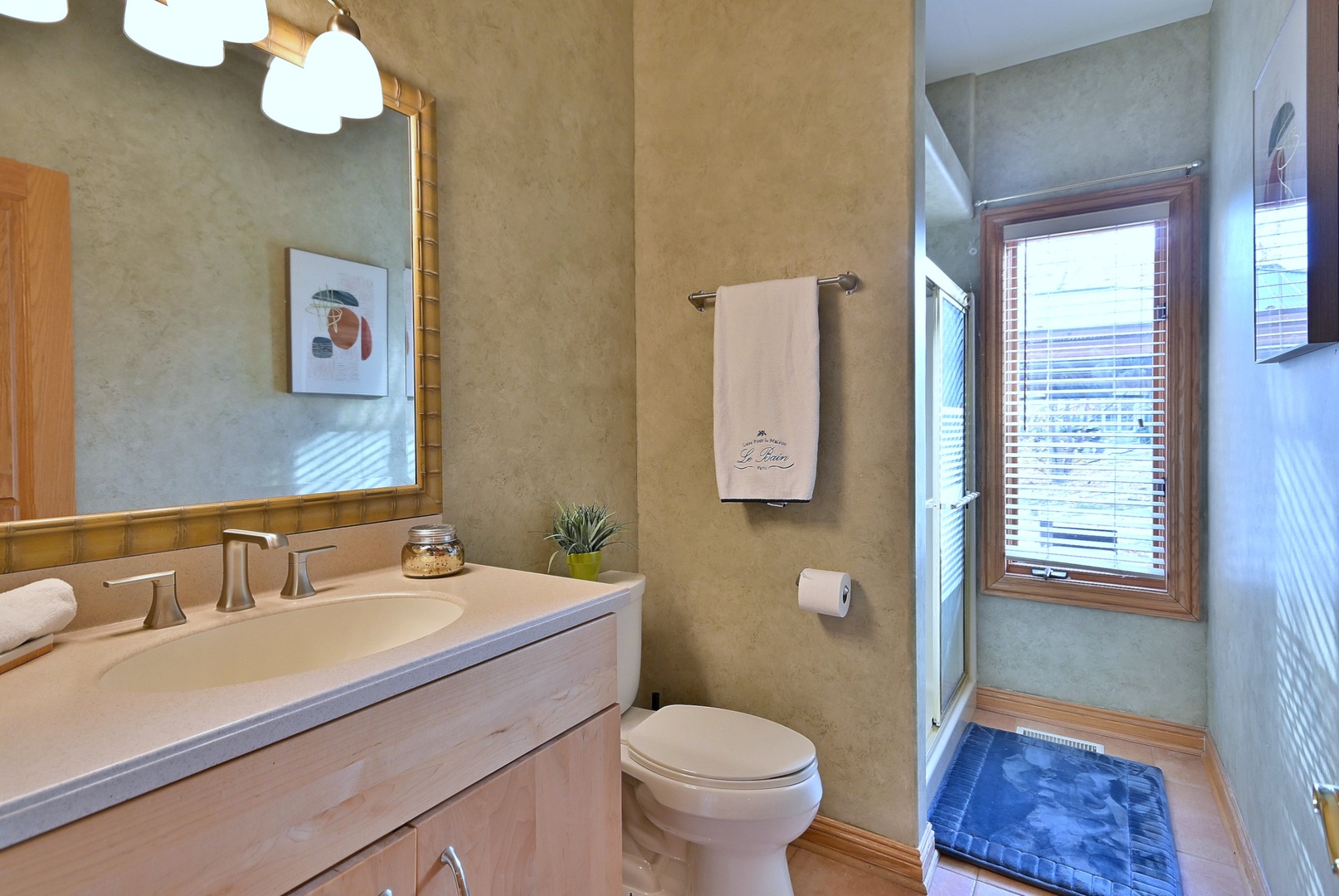 45 Founders Pointe North Drive, Bloomingdale, IL 60108