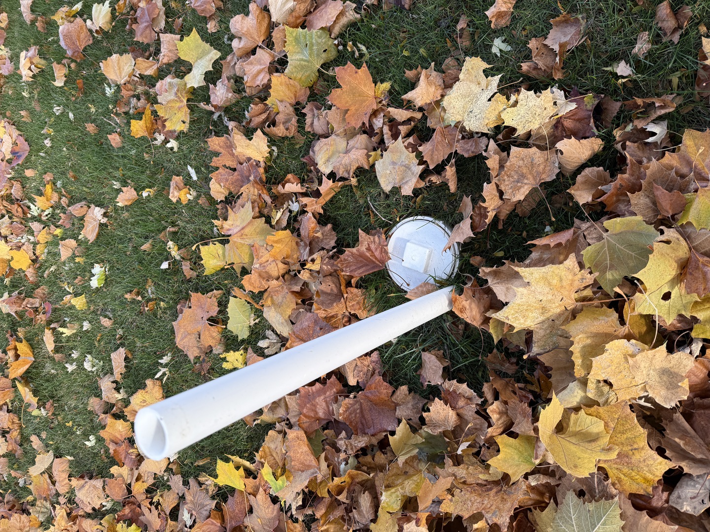 25 Westover Lane, Schaumburg, IL 60193