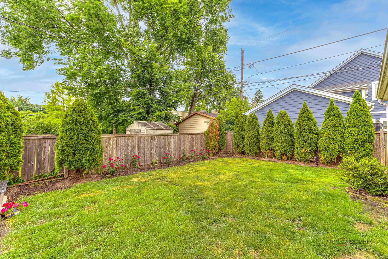 1341 Brophy Ave, Park Ridge, IL 60068