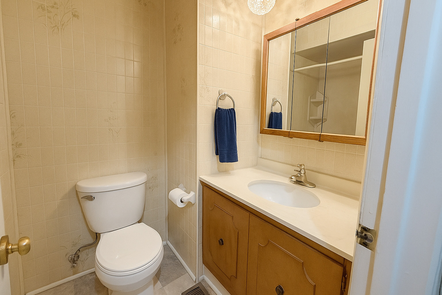 593 Bristol Lane, Elk Grove Village, IL 60007