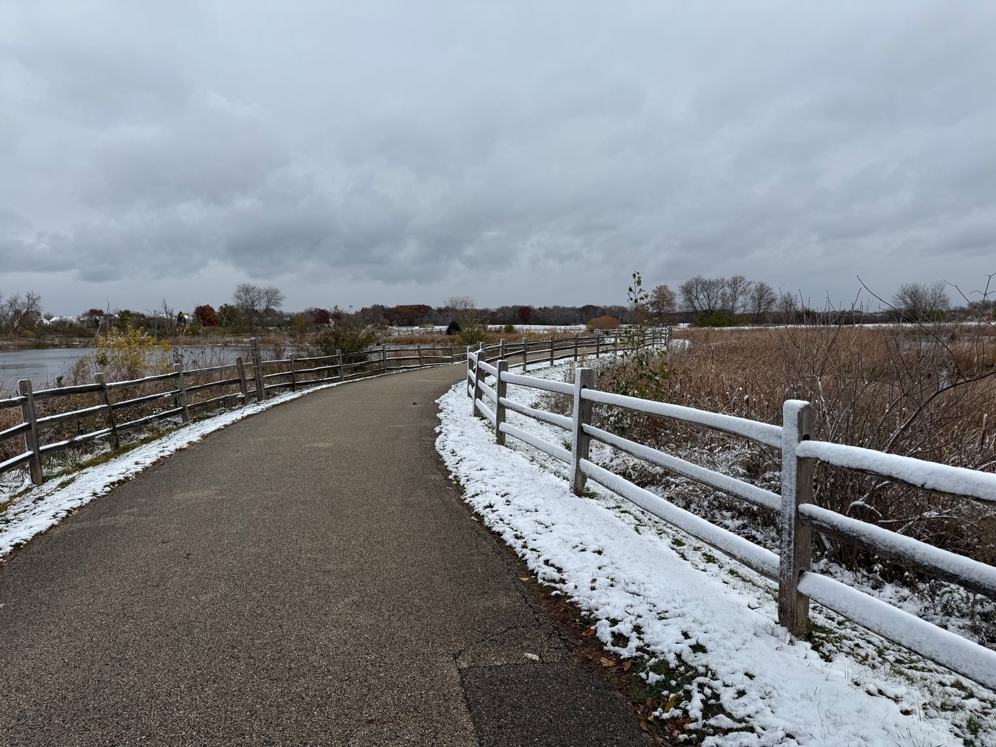 382 S Litchfield Drive, Round Lake, IL 60073