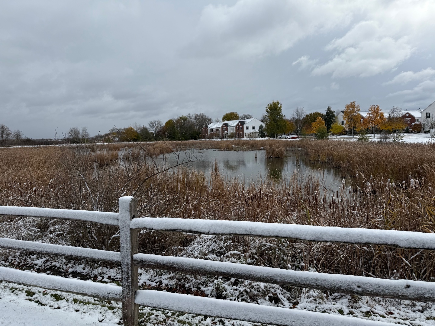 382 S Litchfield Drive, Round Lake, IL 60073