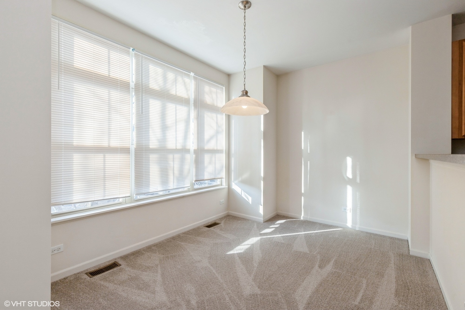 723 Telluride Court #723, Vernon Hills, IL 60061