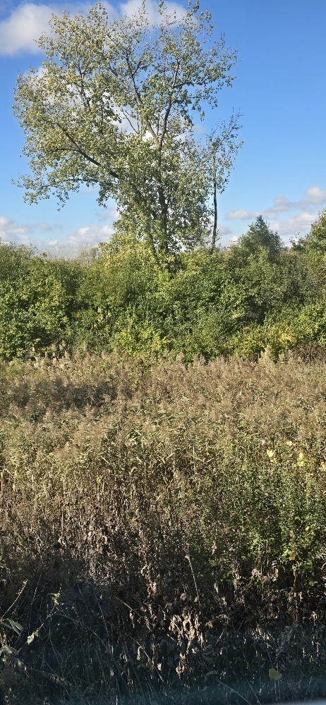 526 Cimmaron Circle, Crystal Lake, IL 60012