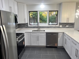 20415 Doria Lane, Olympia Fields, IL 60461