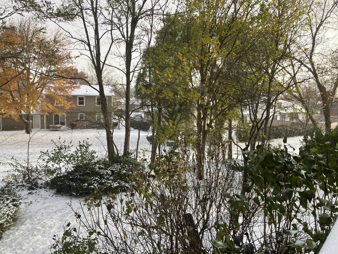 4080 Fir Court, Hoffman Estates, IL 60192