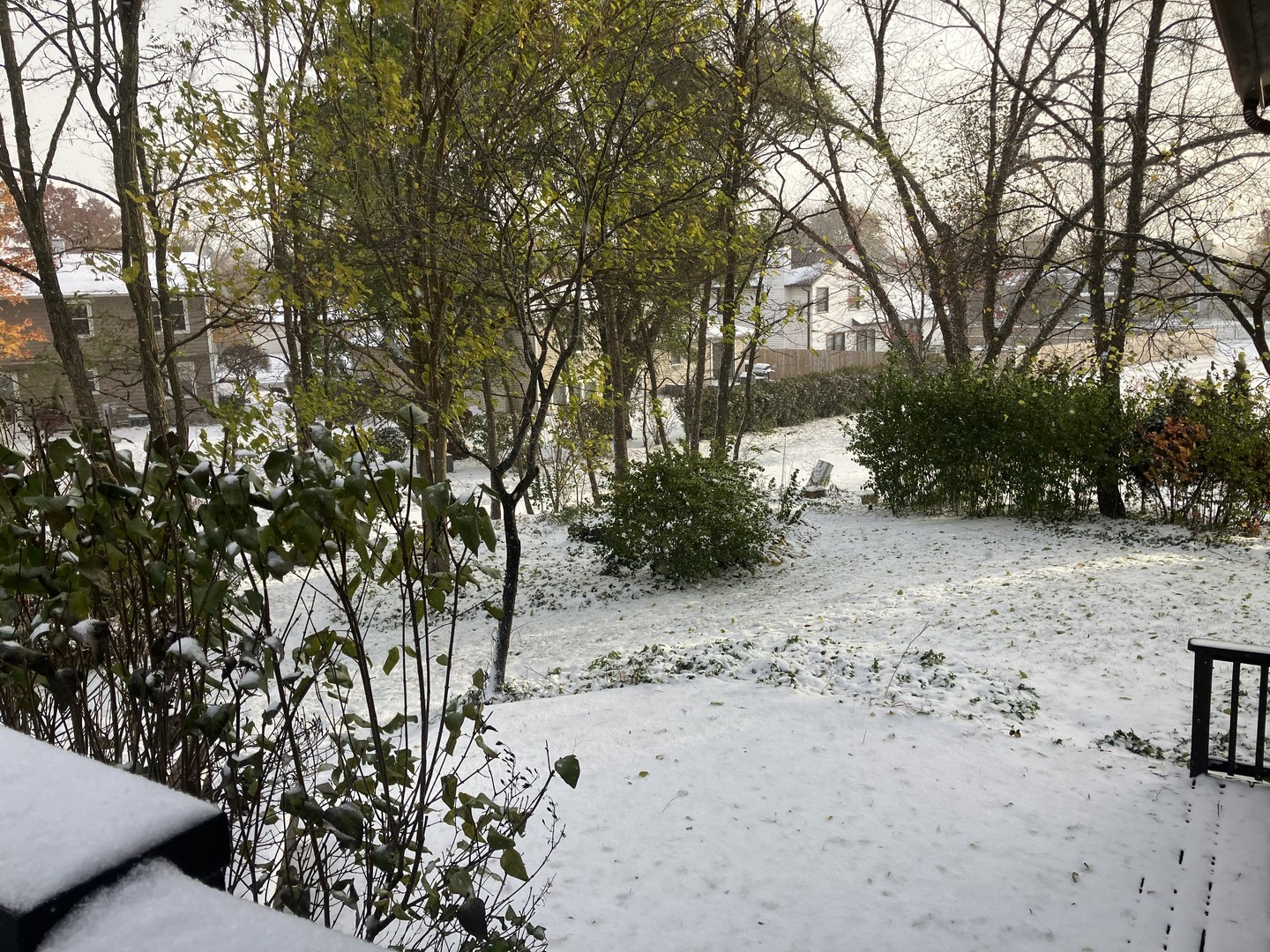 4080 Fir Court, Hoffman Estates, IL 60192