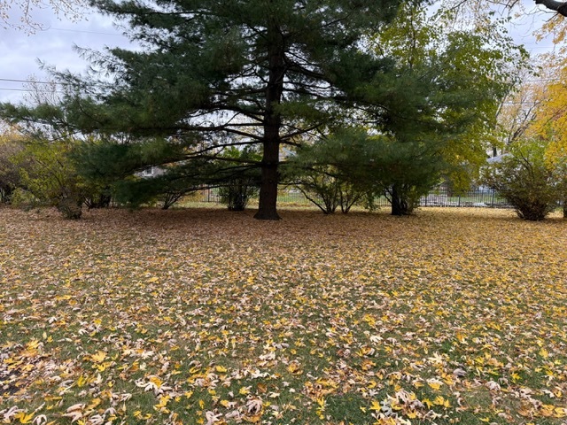 220 MAY Street, Manhattan, IL 60442