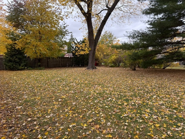 220 MAY Street, Manhattan, IL 60442