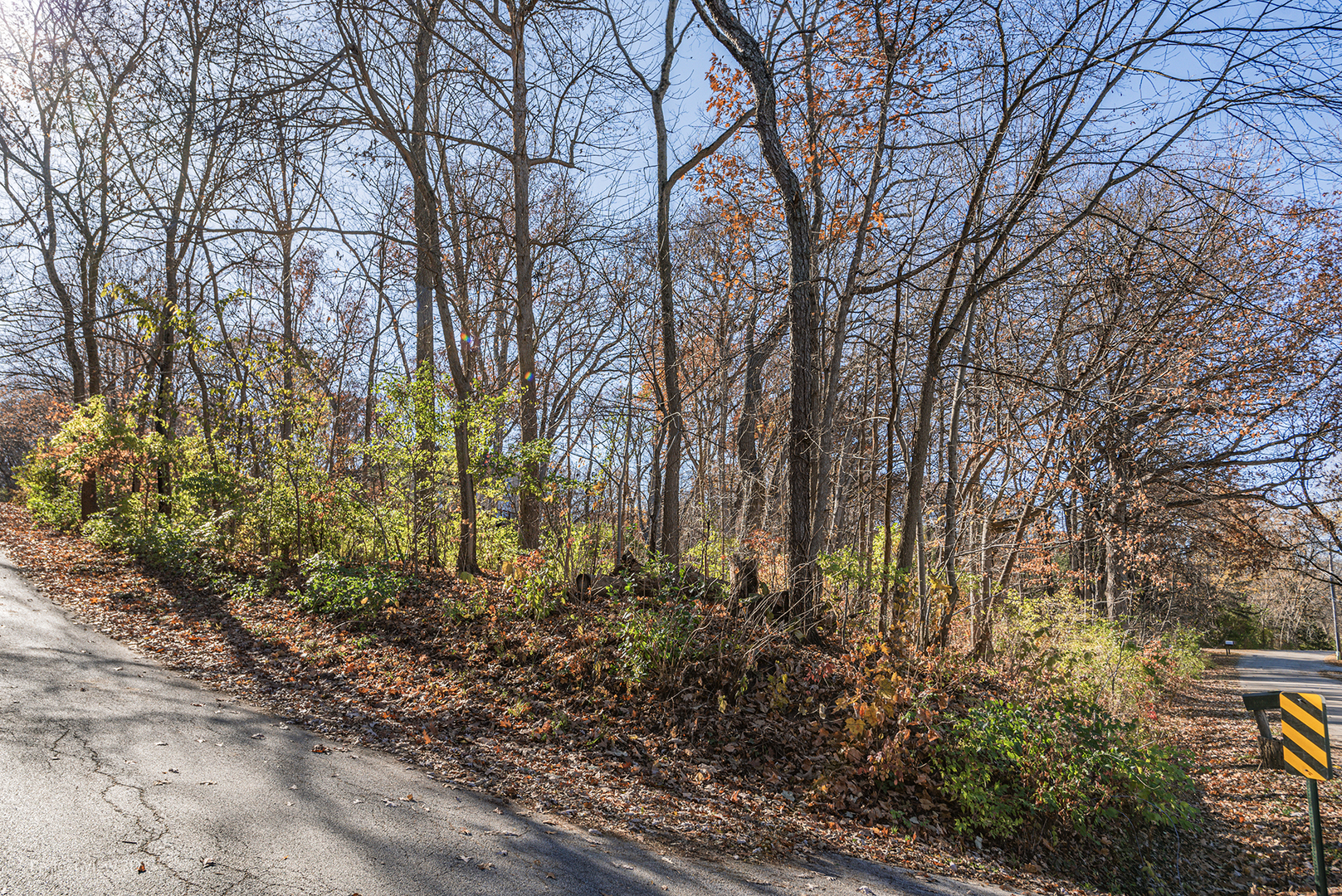 Lot 5 Illinois Street, St. Charles, IL 60174