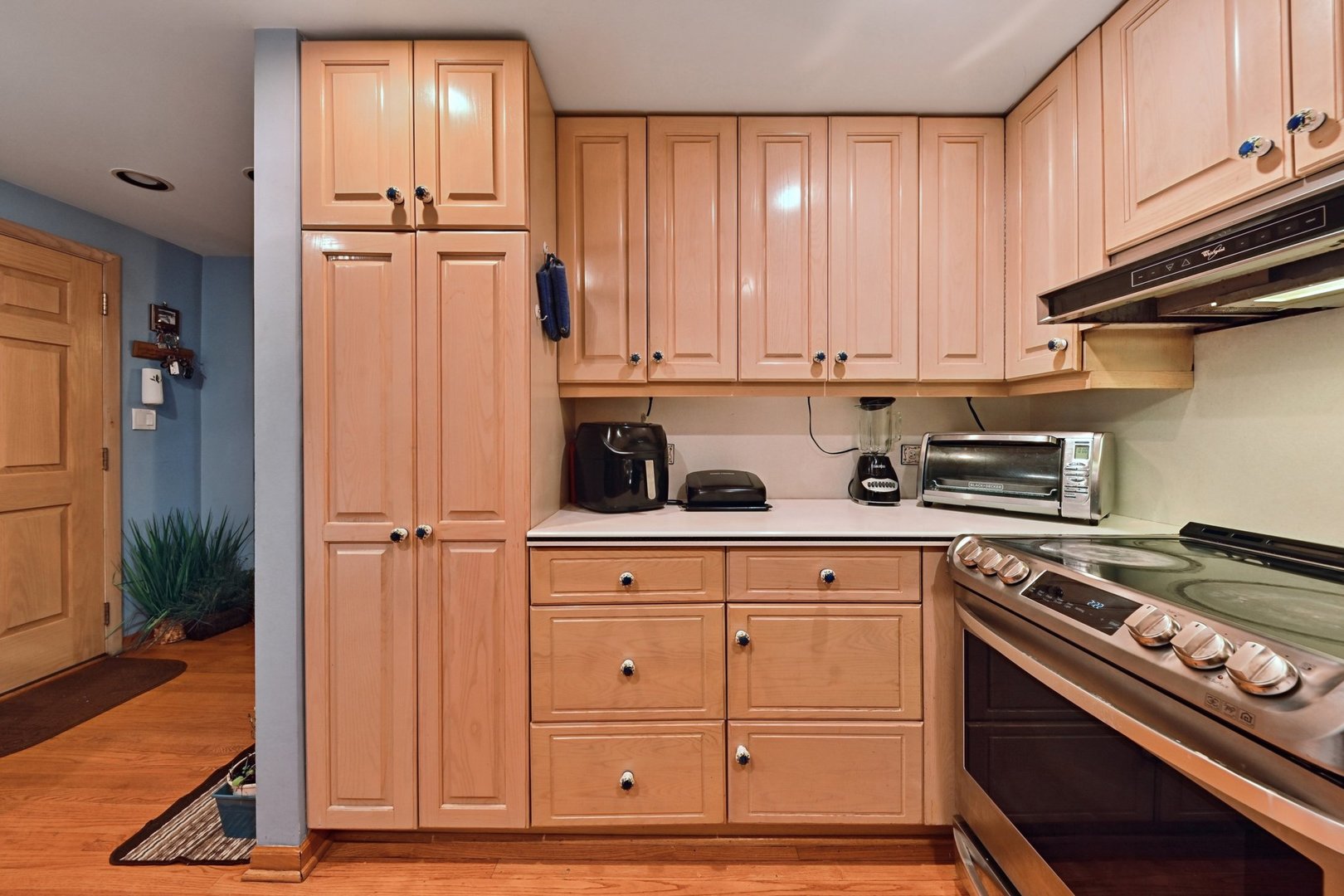 351 S Dominion Drive, Wood Dale, IL 60191